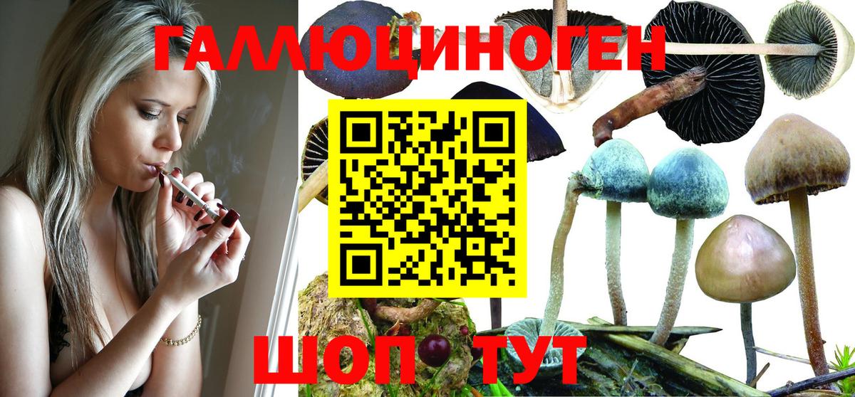 Псилоцибиновые грибы мухоморы  Галлюциногенные грибы Psilocybine cubensis  Надым  Вход с VPN 