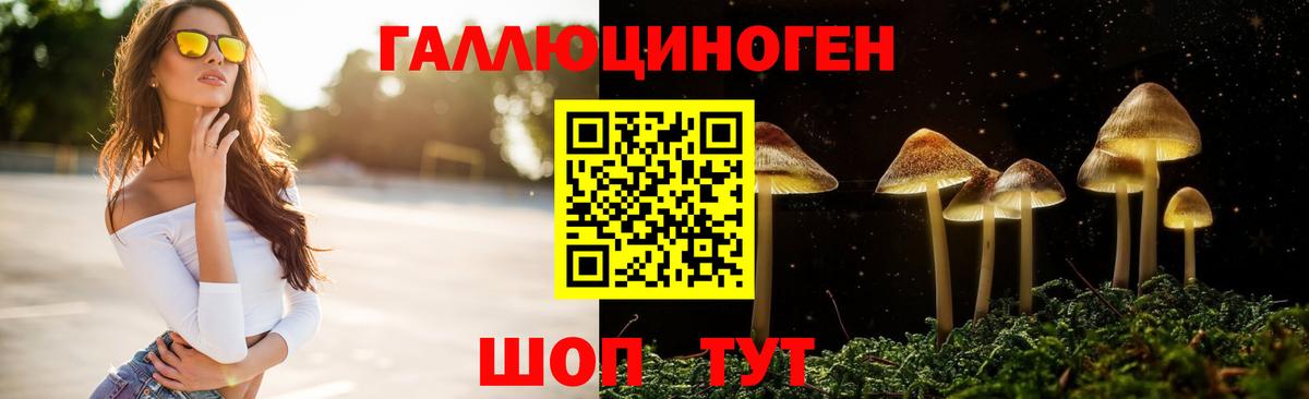 Псилоцибиновые грибы GOLDEN TEACHER Надым
